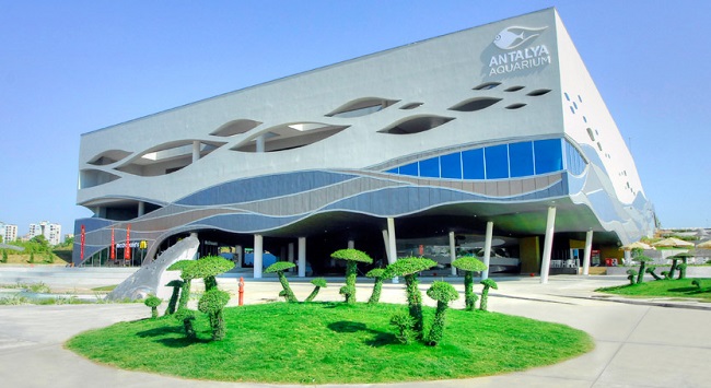 How Much Is The Antalya Aquarium Entrance Fee? 