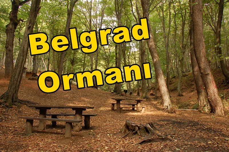 Belgrad Ormanı Nerede, Nasıl Gidilir? Giriş Ücreti, Kahvaltı